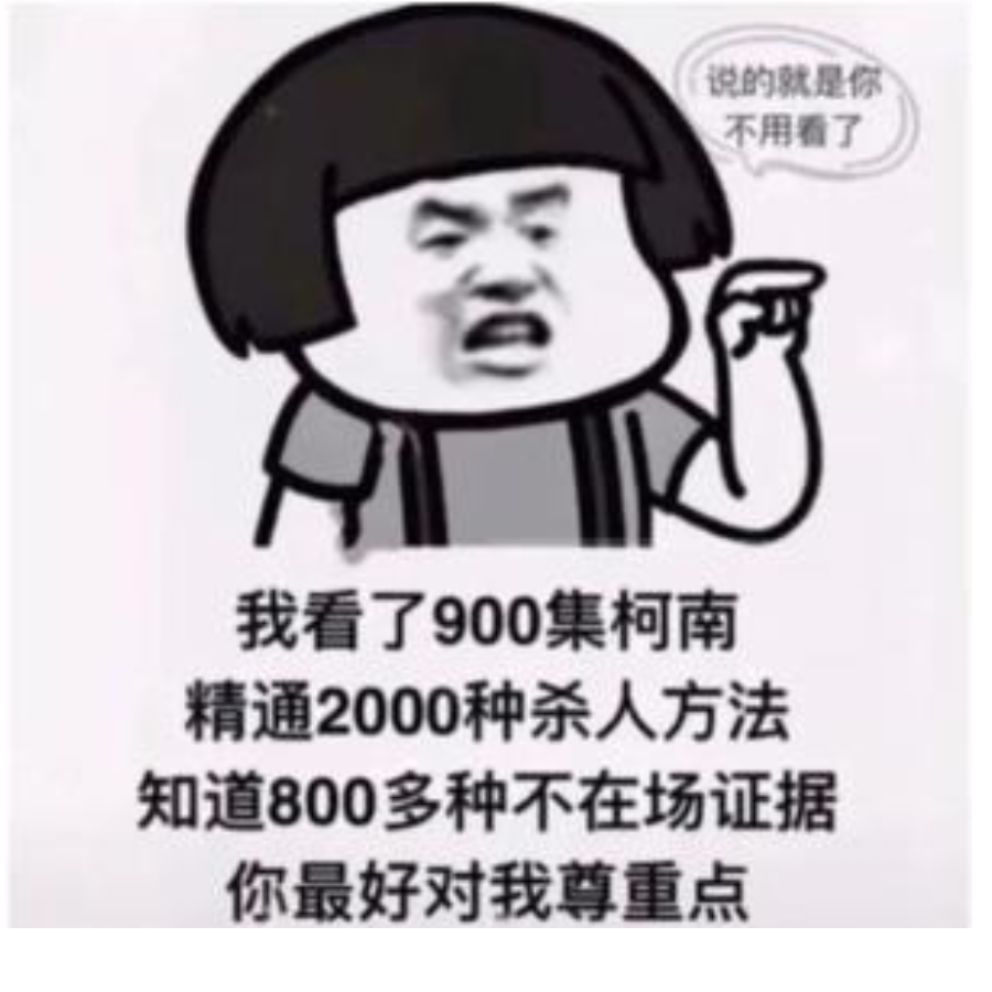 cc猫围巾