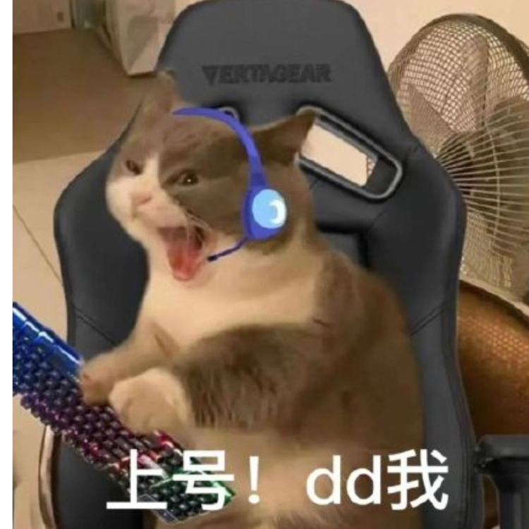 新兵中的冰块