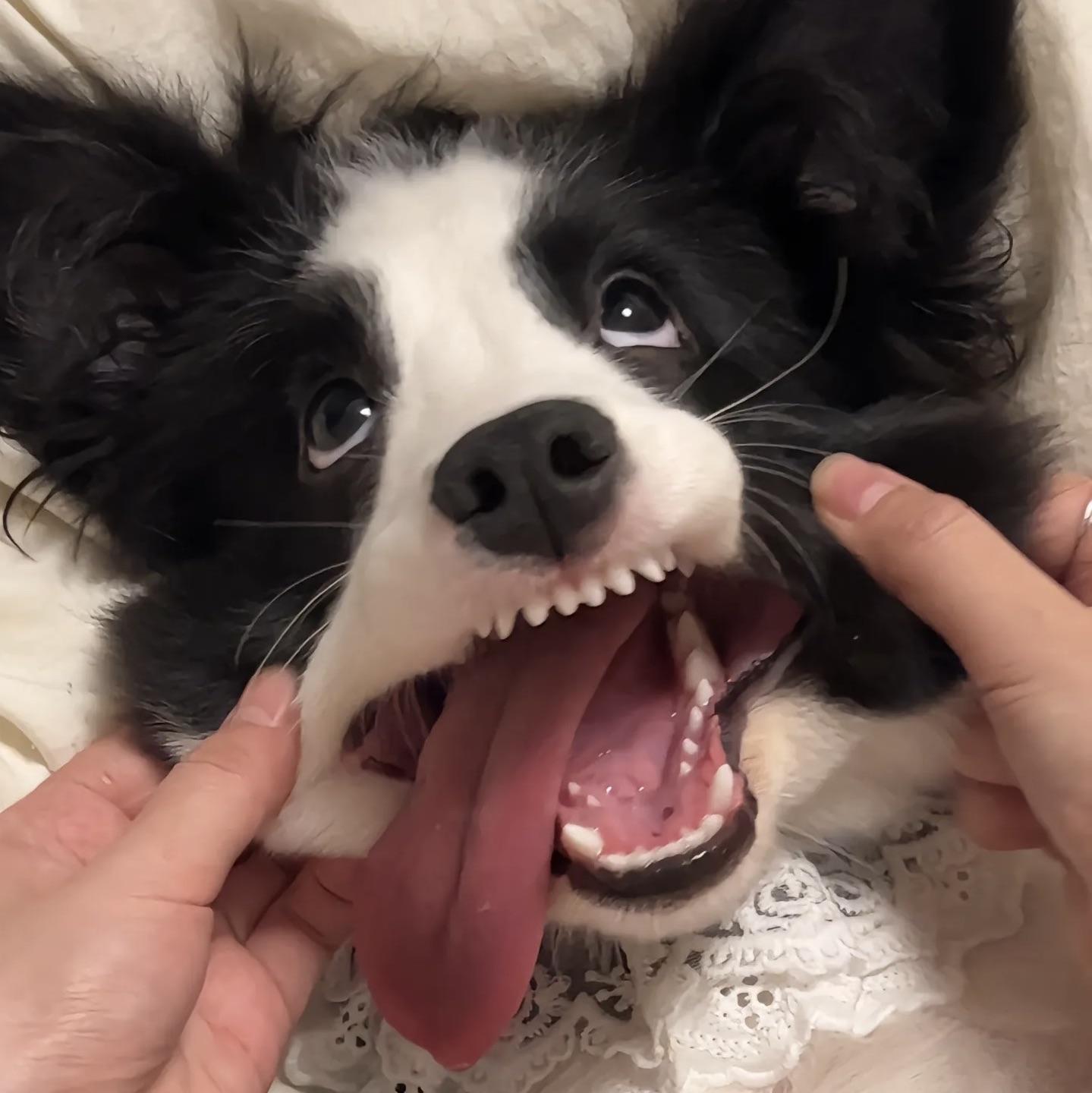 周末见.