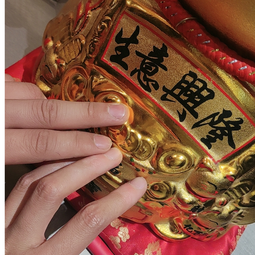 鲸落🐳