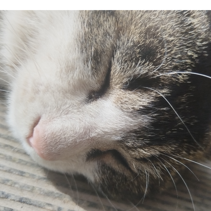 捷径