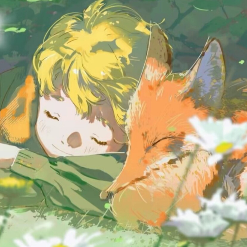 枫