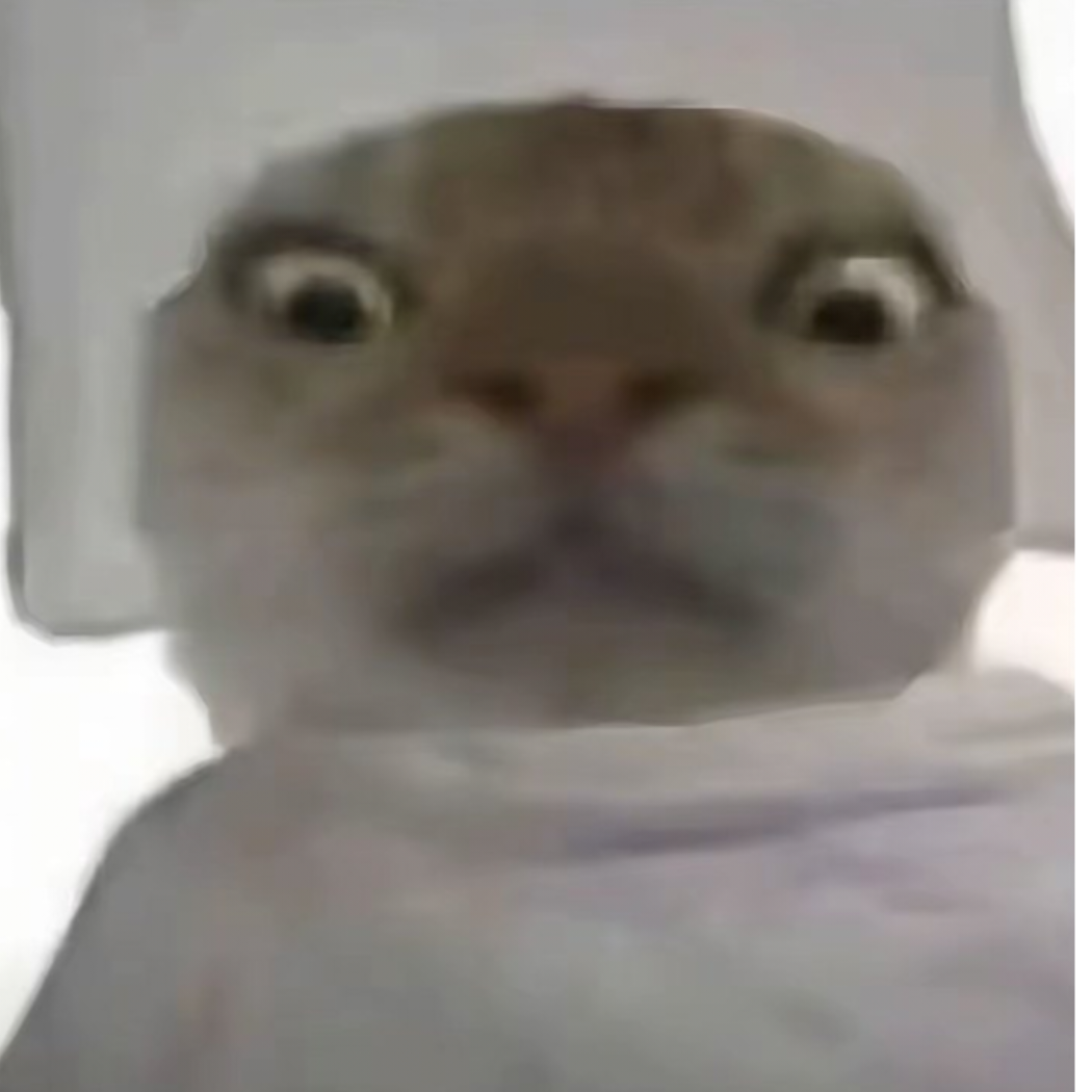 也许导完就没有了思念