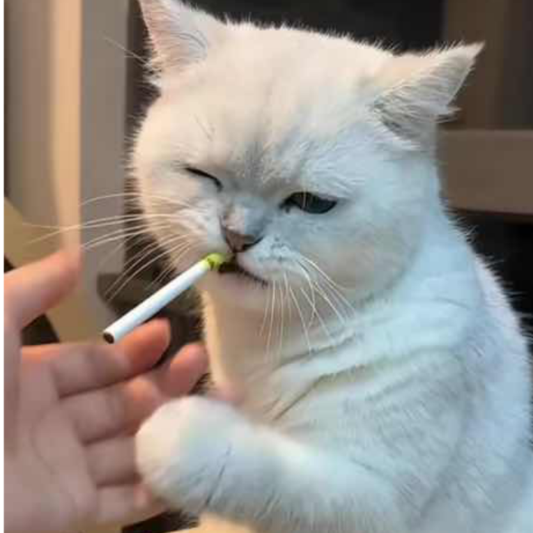 卿玖