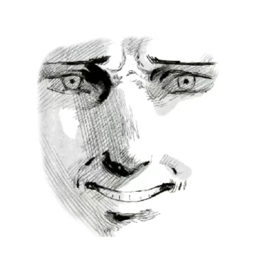 无风无羽