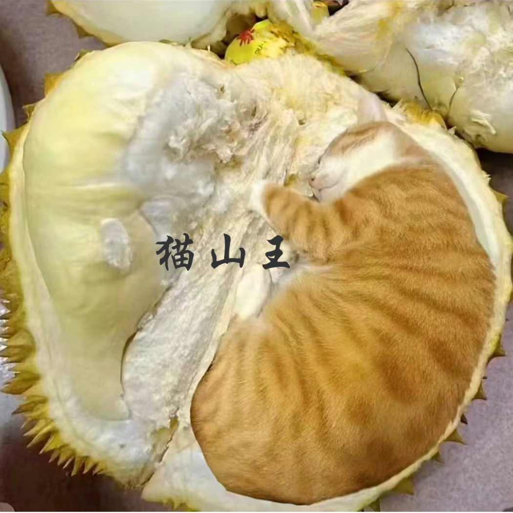 为所欲为