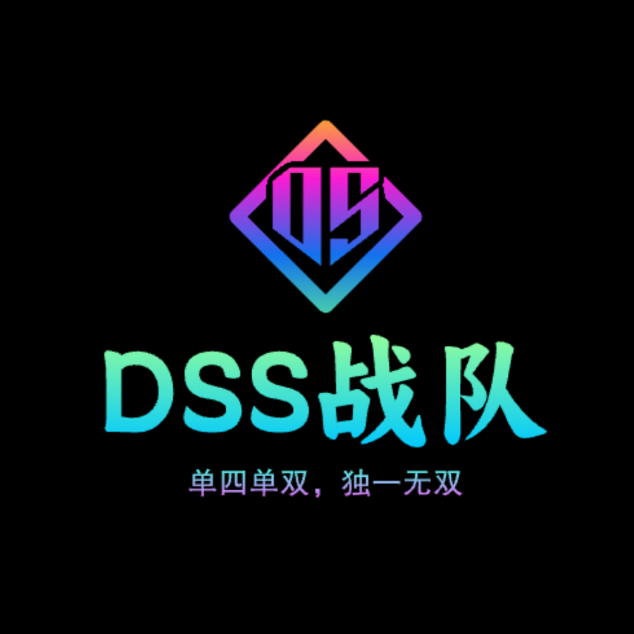 DSS战队