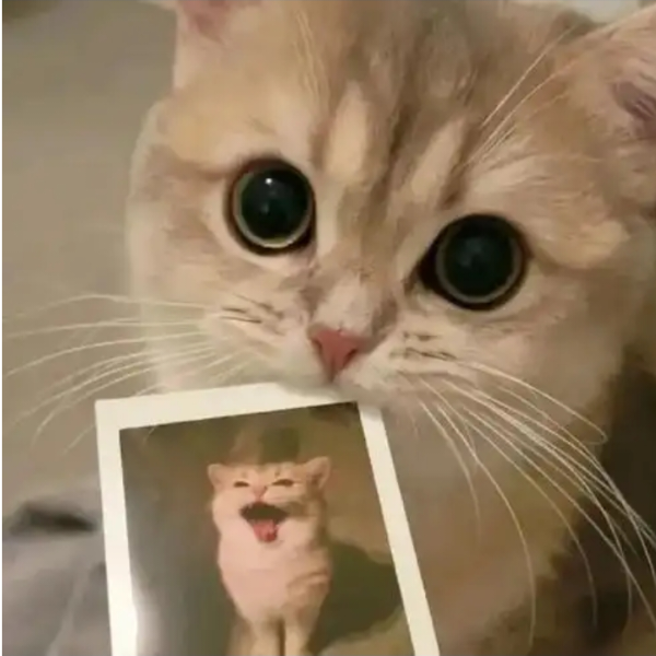 两点