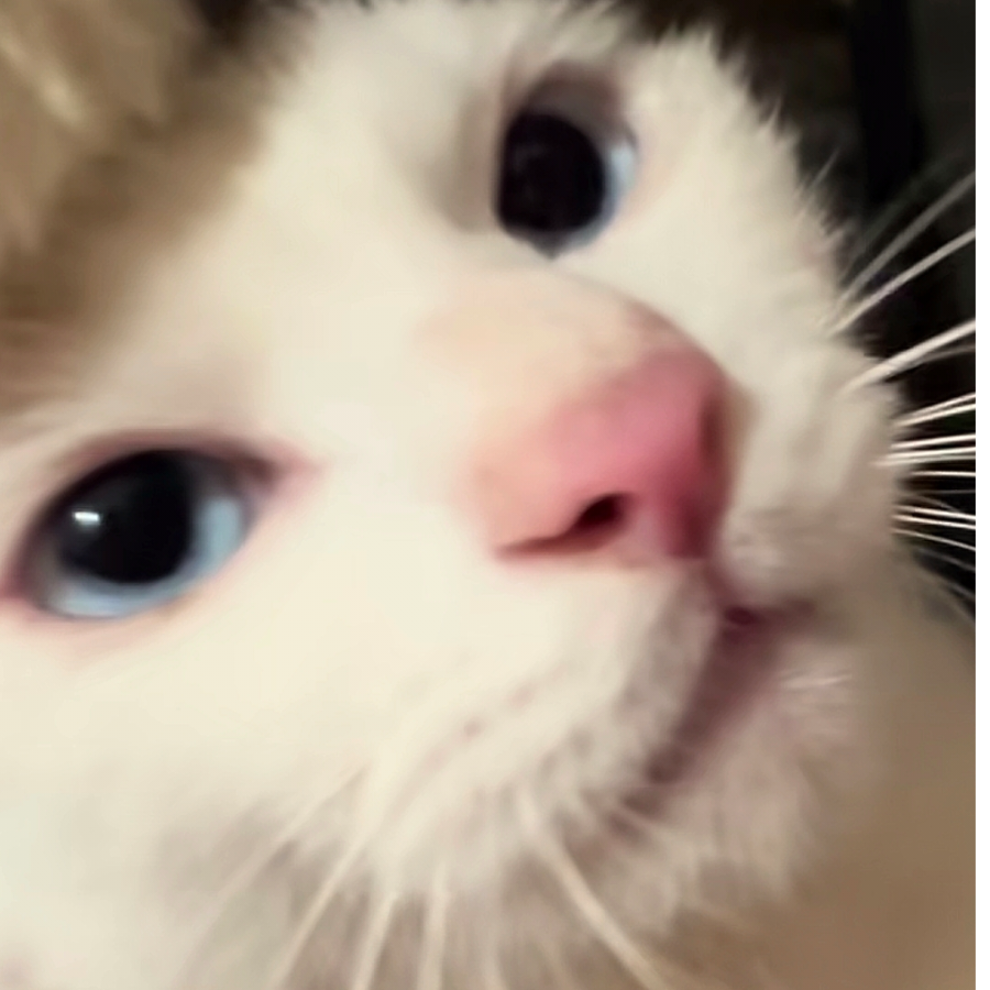 十月