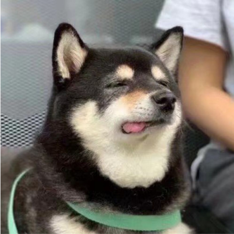 沉柚