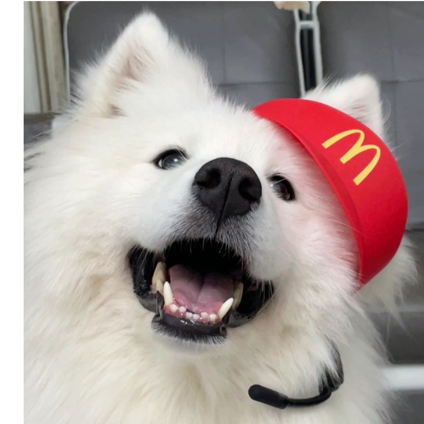 yoyo