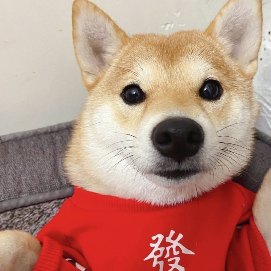 主播三千(火炬之光)