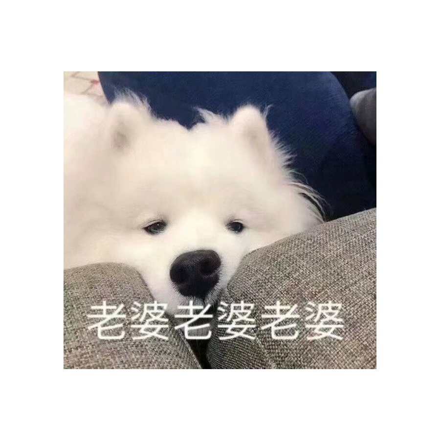 小雨银银