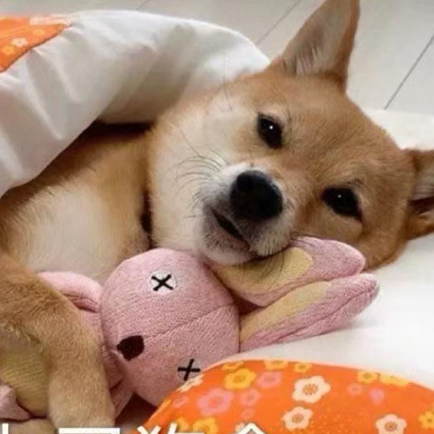 哒咩哒咩哒咩