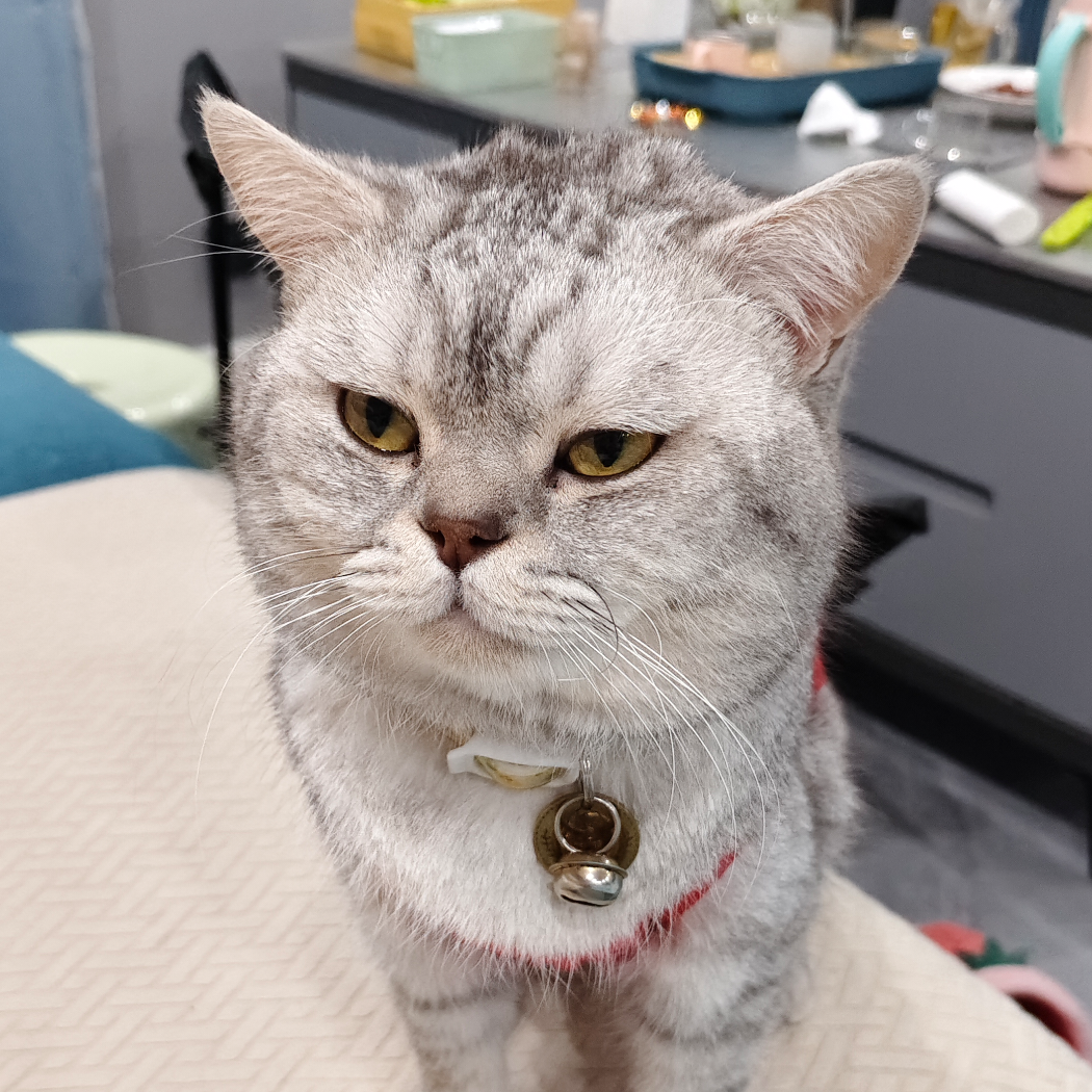 软萌淑