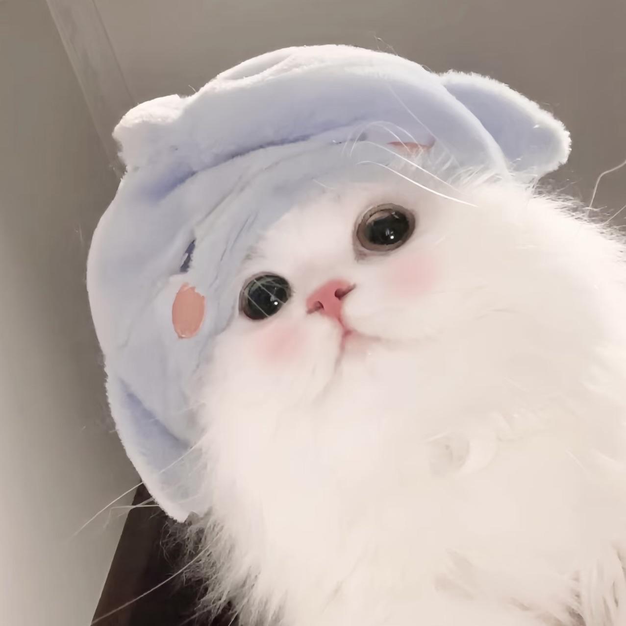=)
