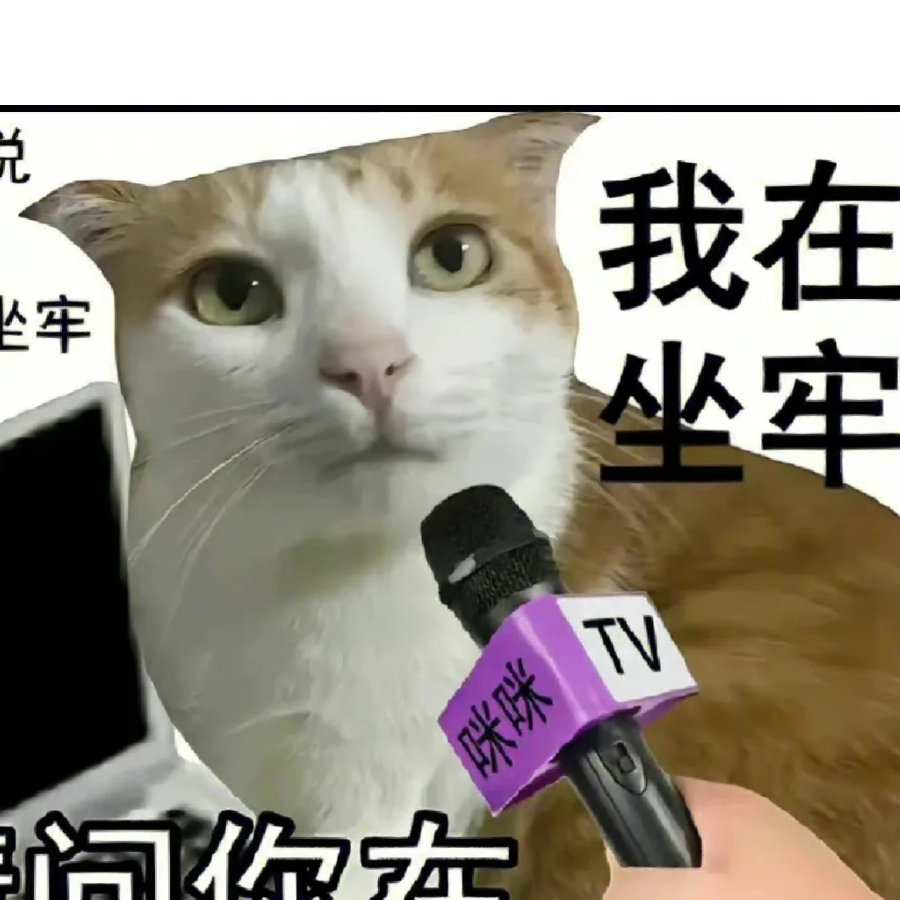 (￣Д￣)ﾉ