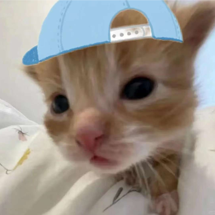 宝
