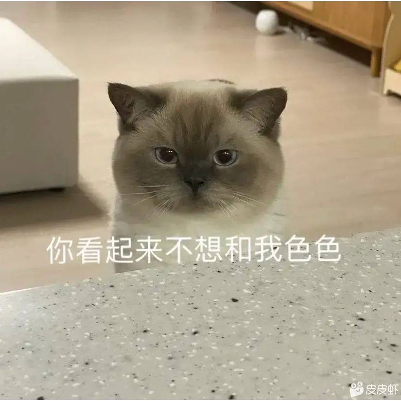 野鸽