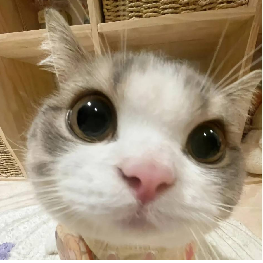 錡