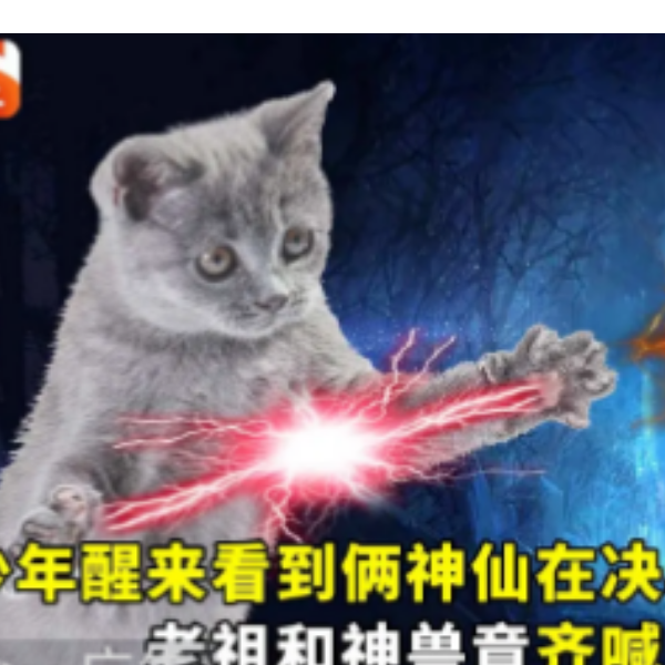 咖喱拌饭