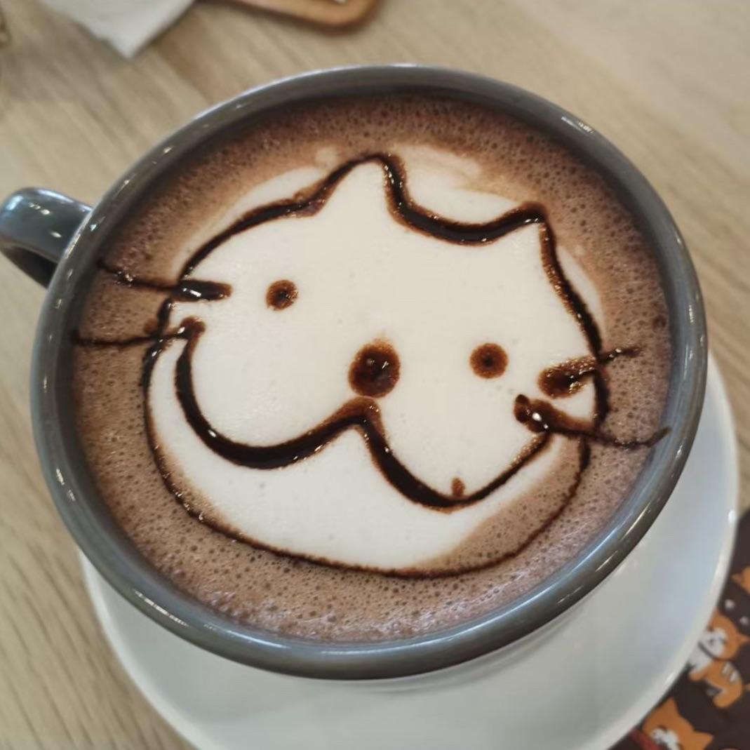 一杯猫咪