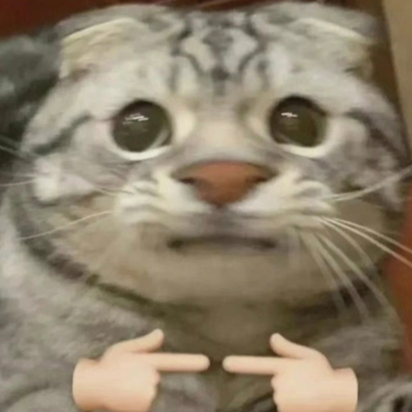 大鹅炖铁锅