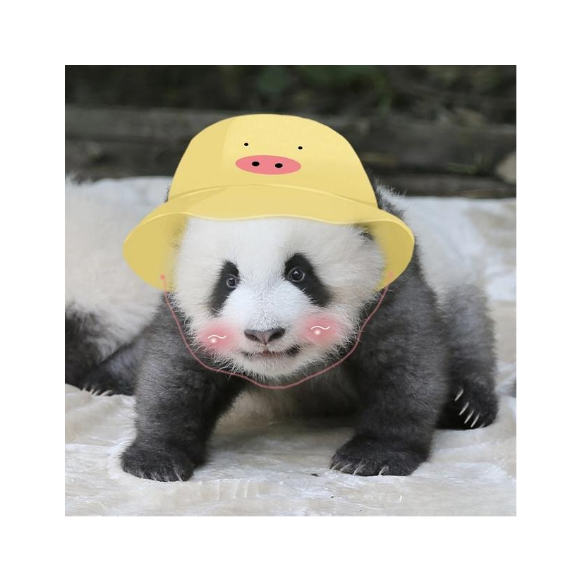 小确幸