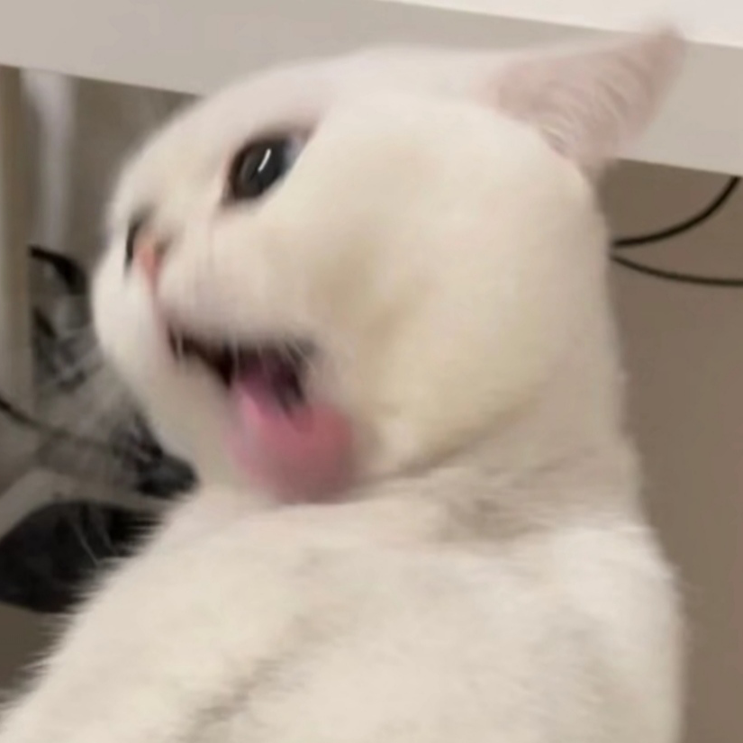 牛人 赫哥