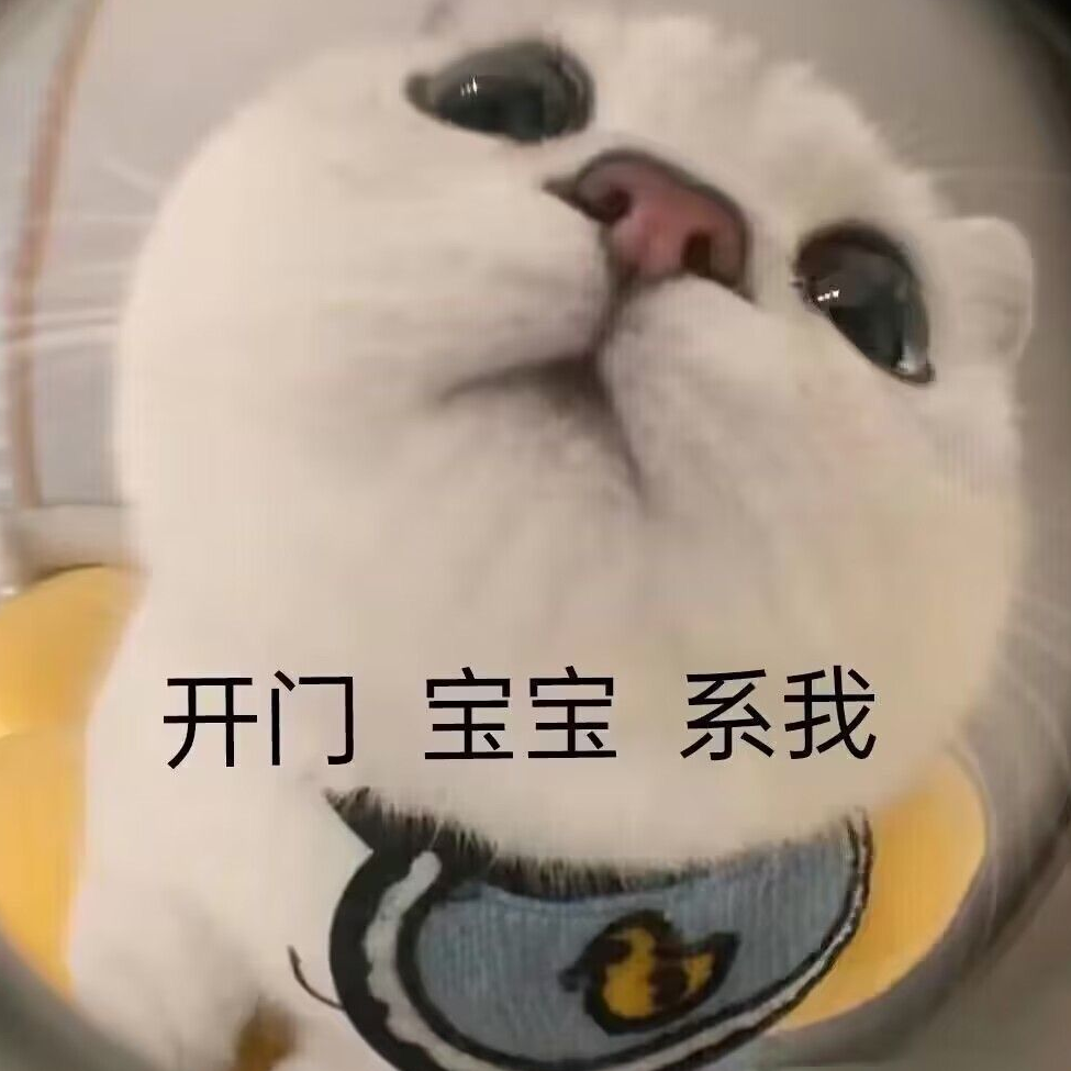 风乀乀乀乀乀乀