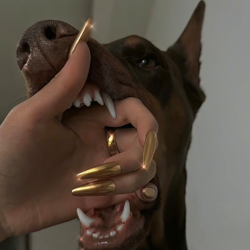 阿香再爱我一次