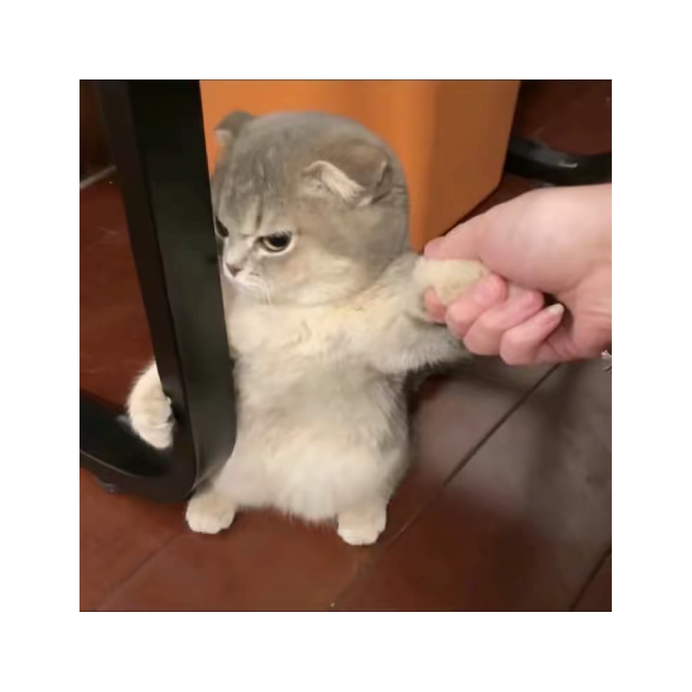 辞暮尔尔
