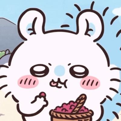 迷碟
