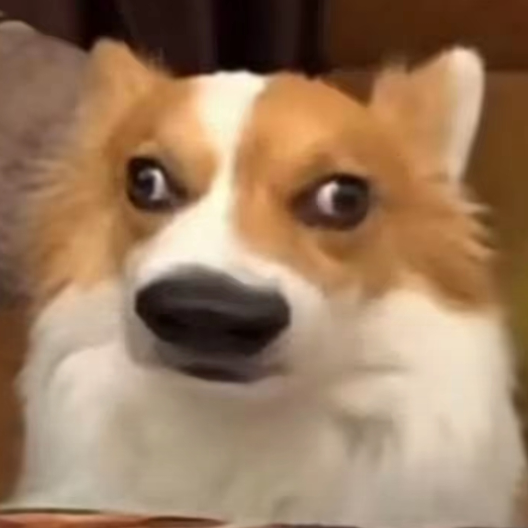 嬴