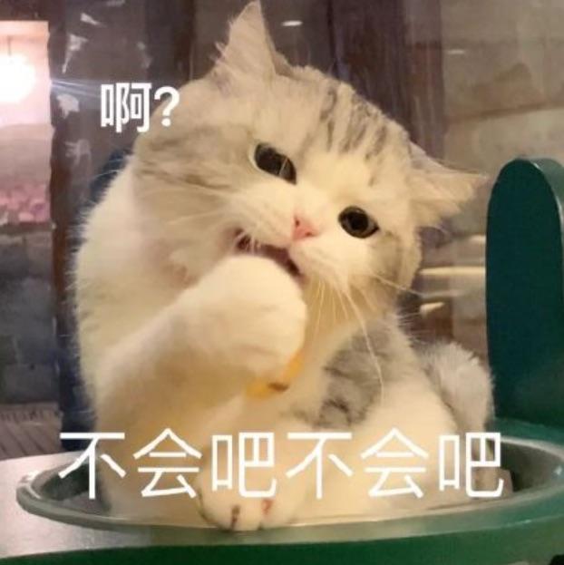 熊猫.栋