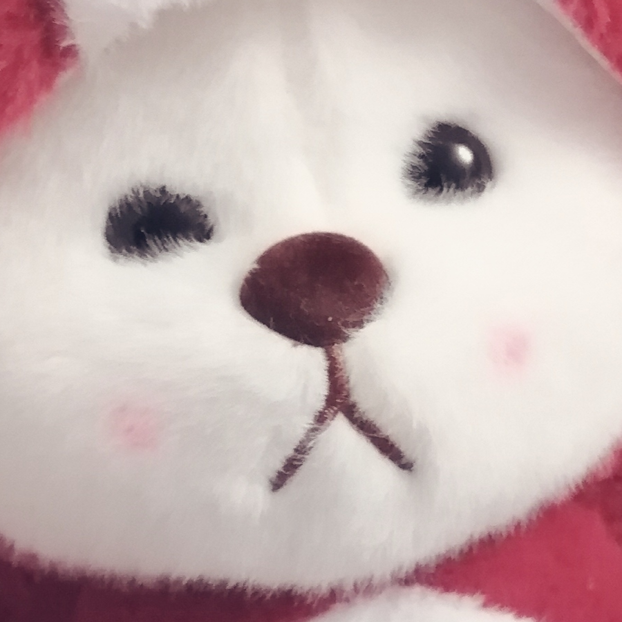 司徒