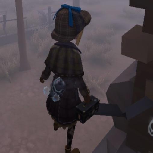 我的果冻在哪里