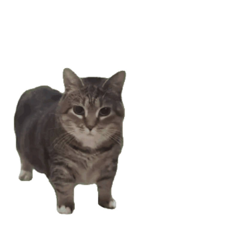 向前看