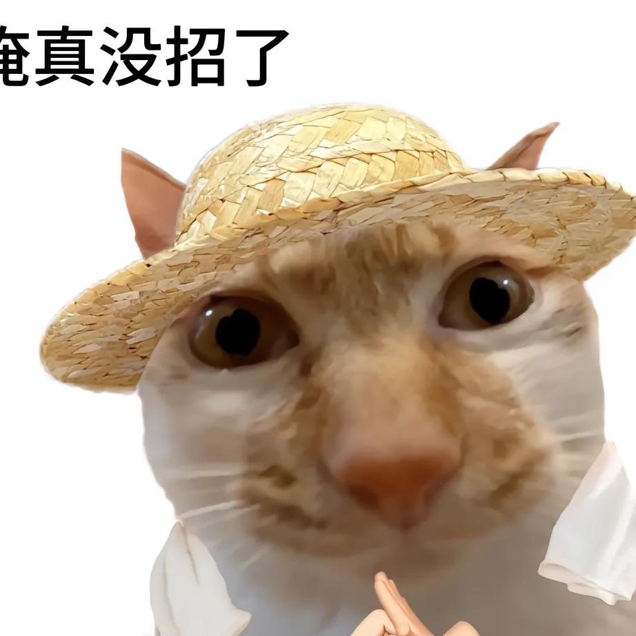 cc