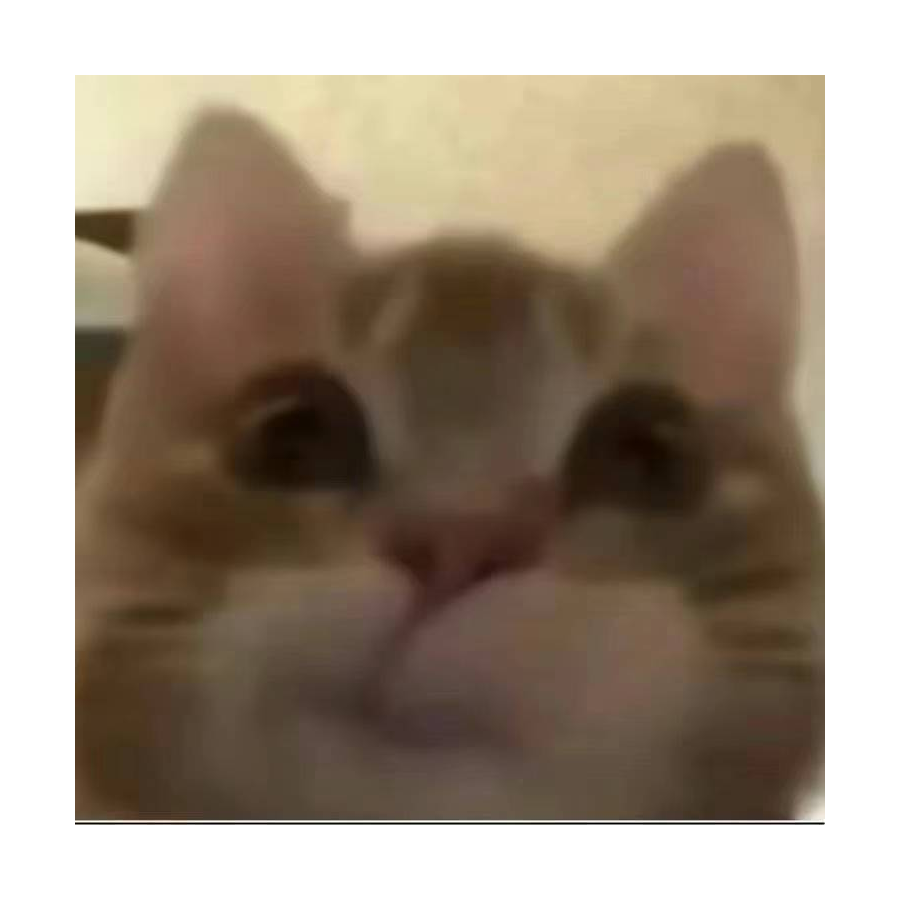 爱吃瓜的东瓜