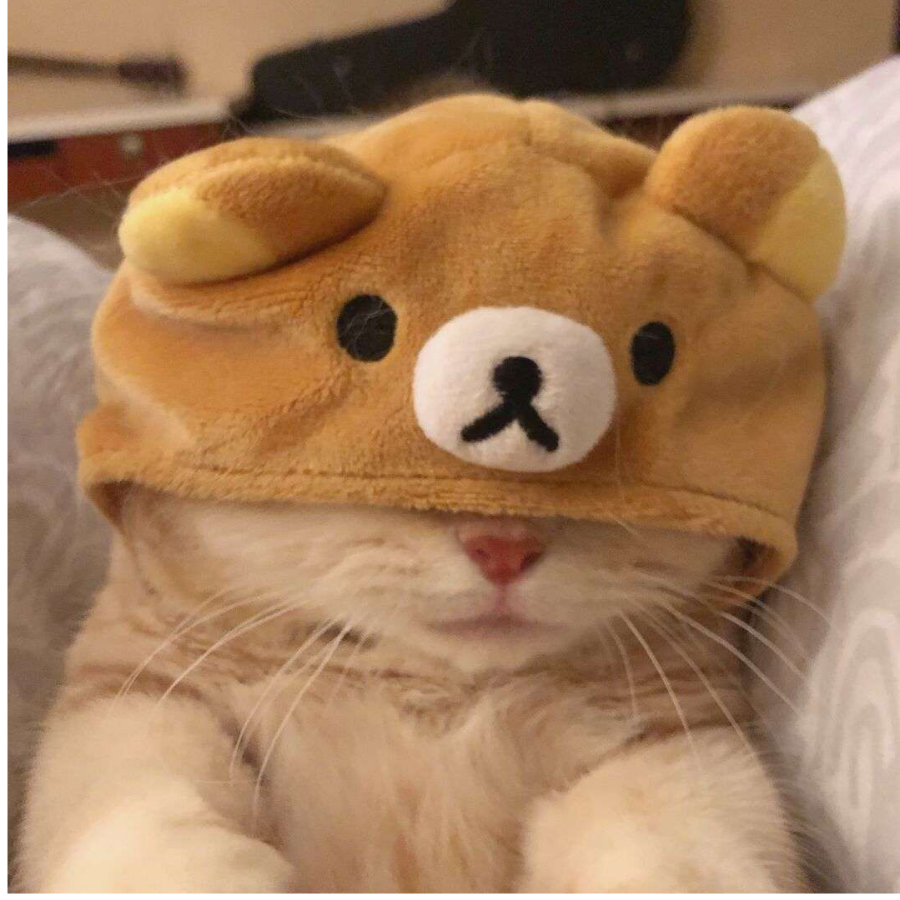 《离线》