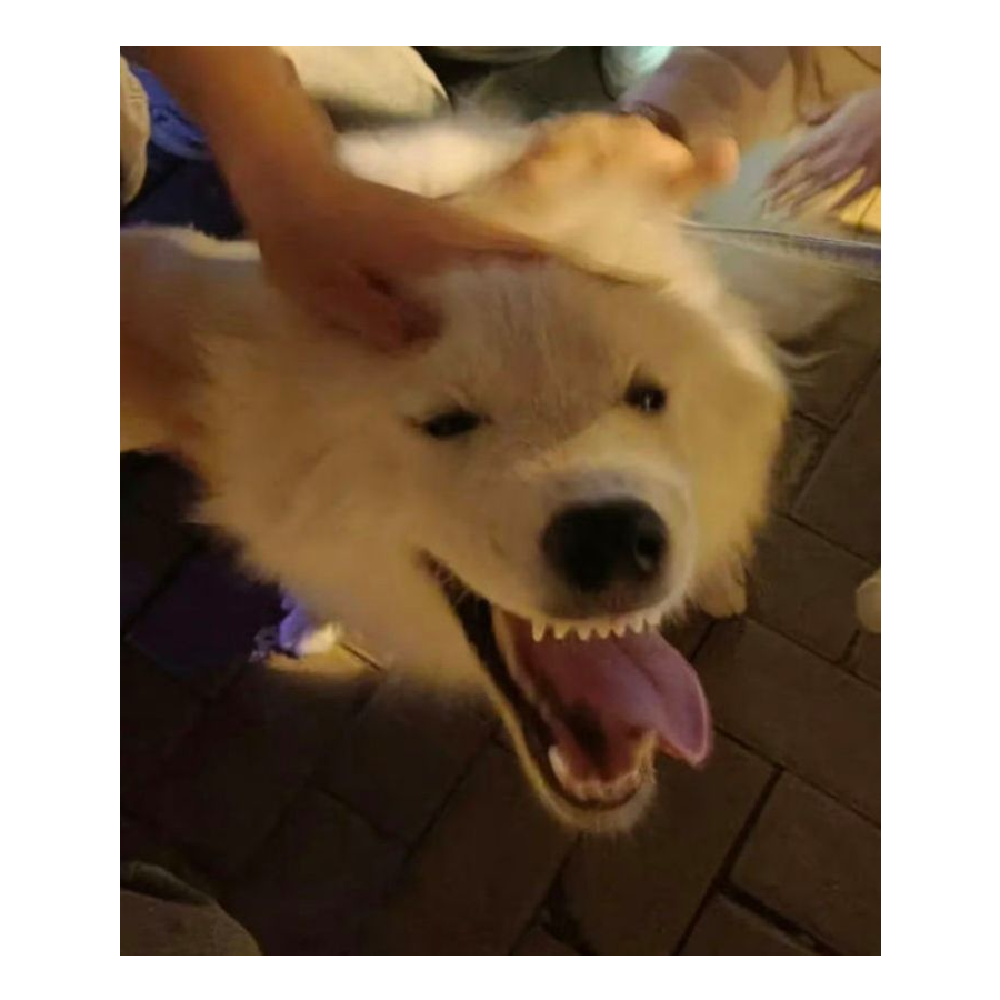 Frightened.hhh