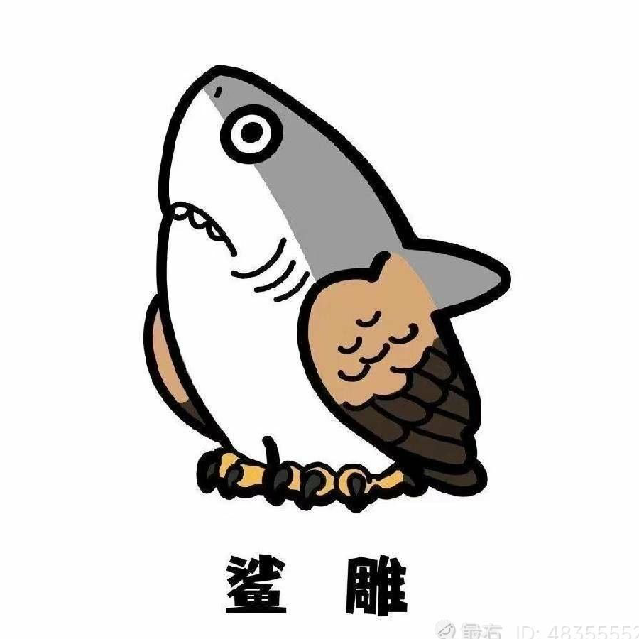 一纸荒唐言