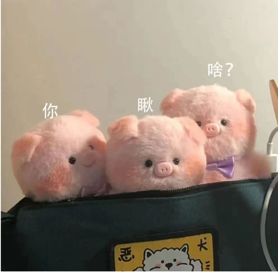 ๐˙Ⱉ˙๐