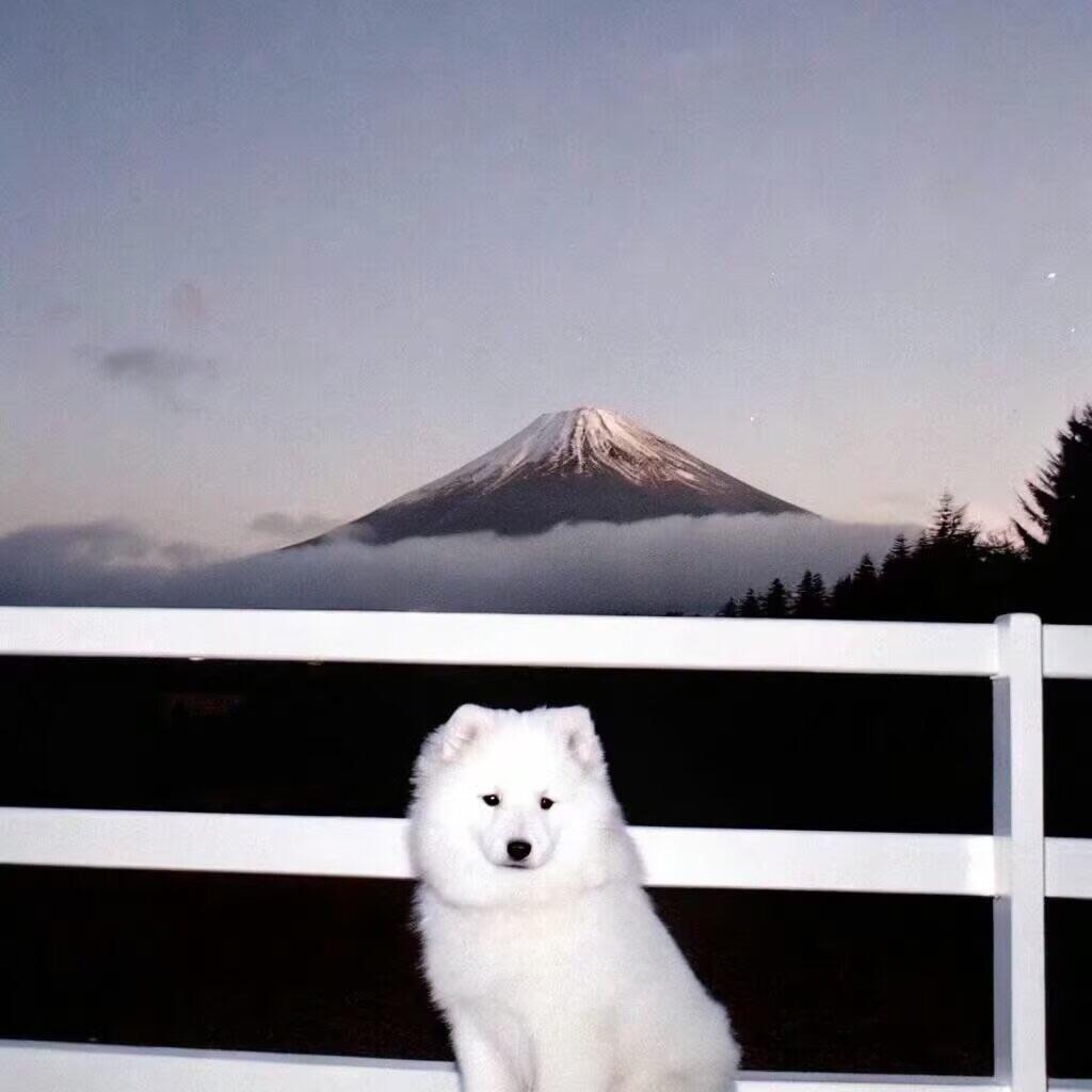 瑾之