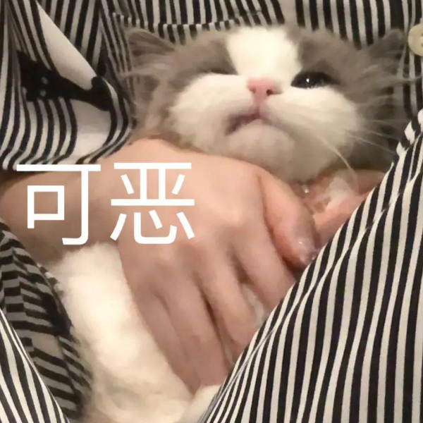 顾梦彩歌