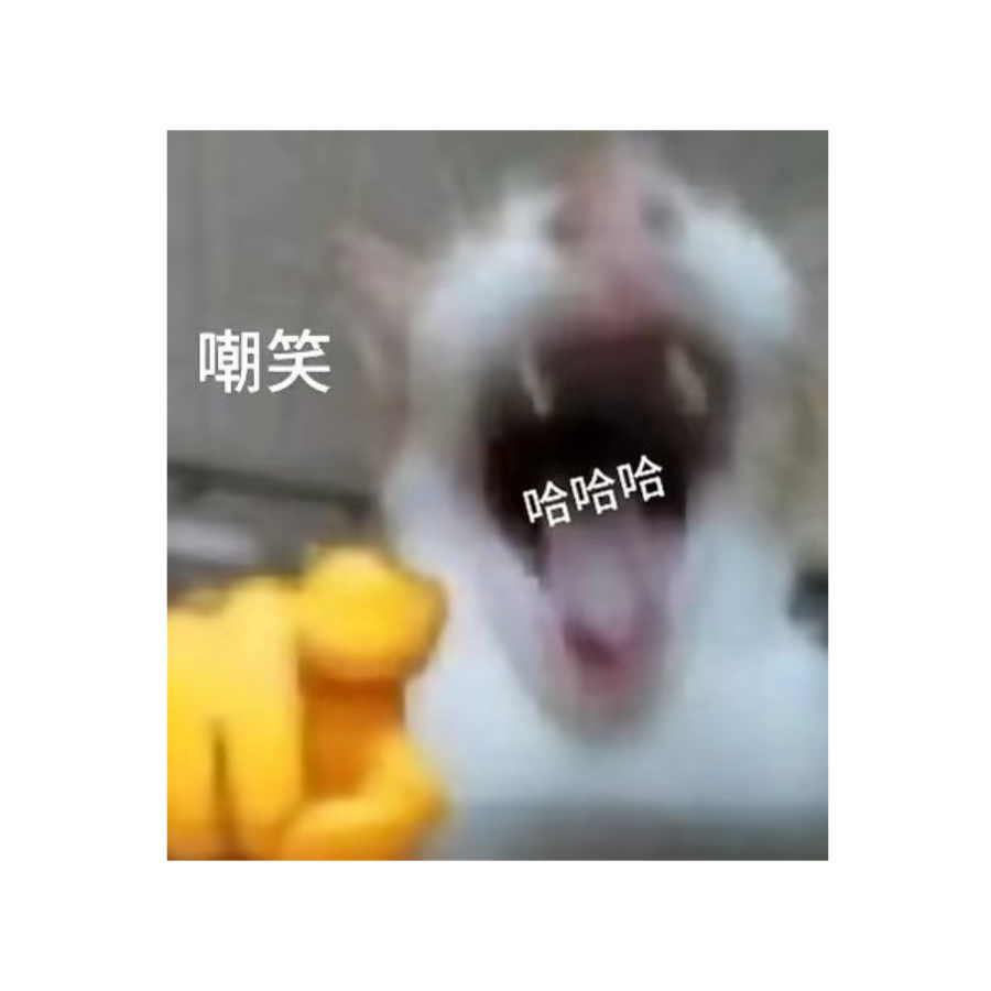 嘲笑小猫