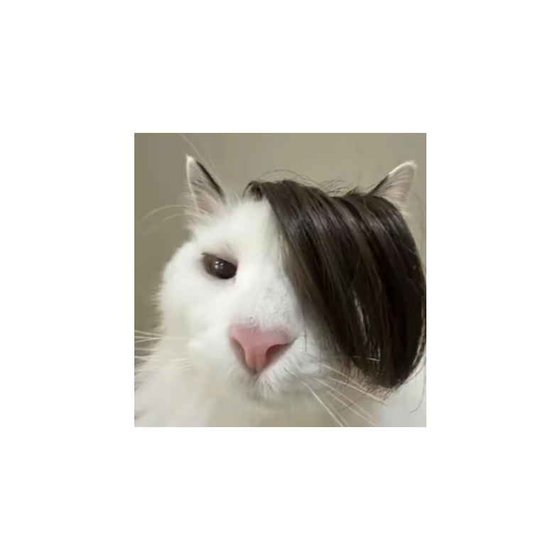 辞苏