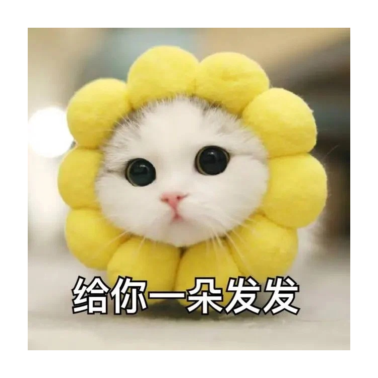 给你一朵小花