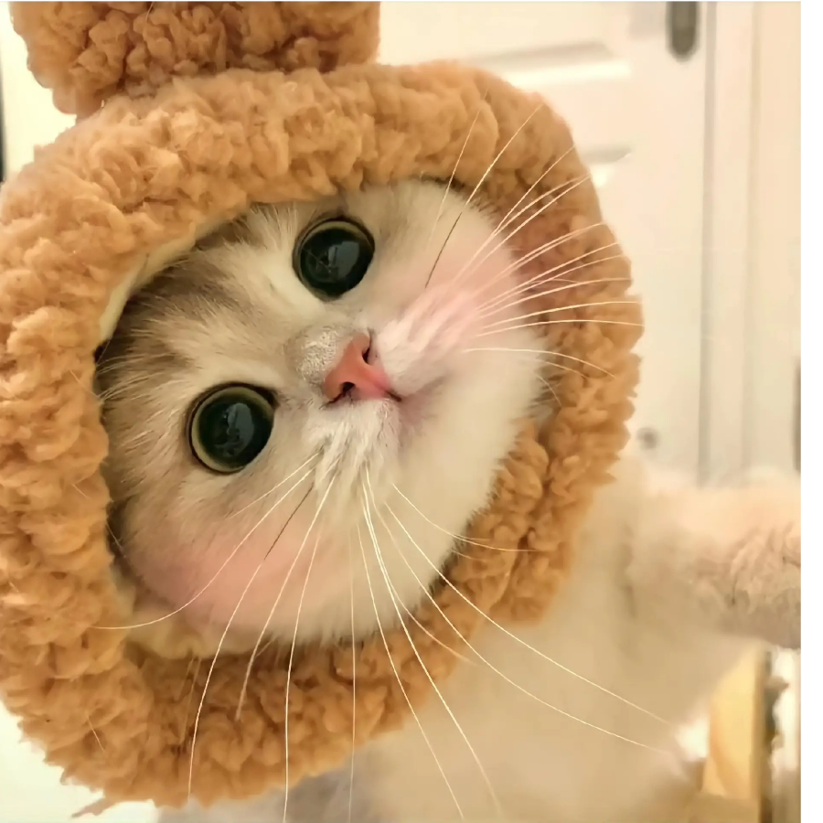 殇